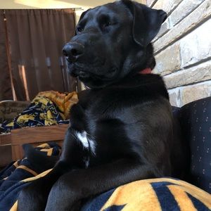 Meet your Posher, Catherine